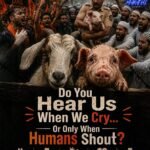 Do They Hear Us When We Cry?
